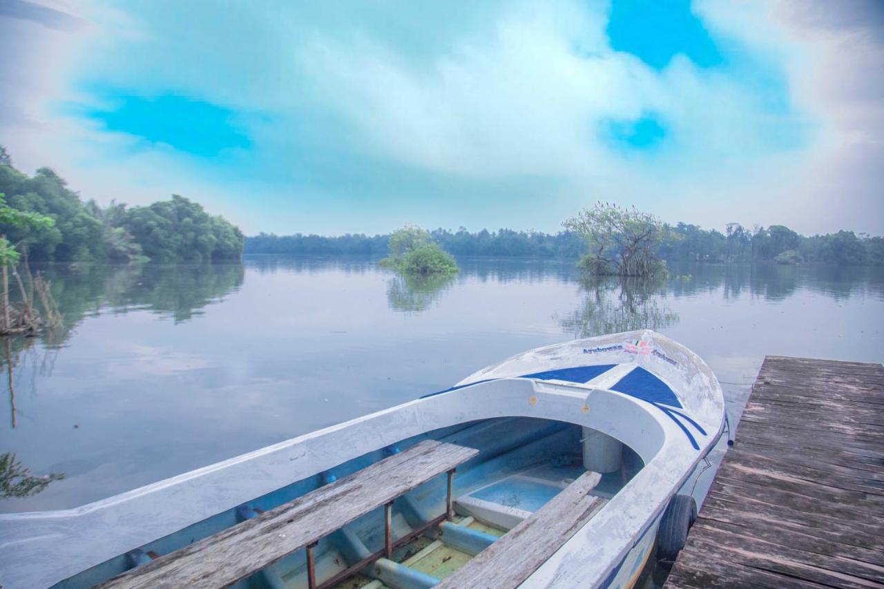 Bentota River Villa Экстерьер фото